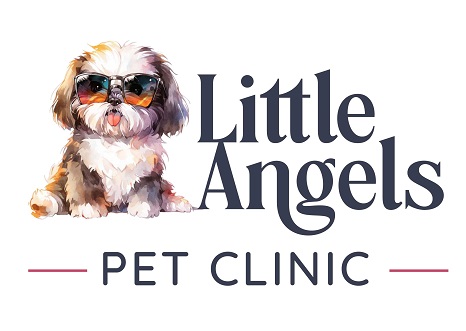 Clinic Logo